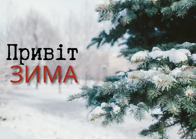 ▻ღ❄С 1 декабря - первый День Зимы..❄ღ◅˜ ~ Открытка (плейкаст)