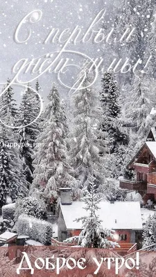 Картинка с первым днем зимы. | Открытки, Зимние картинки, Картинки снега