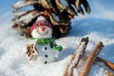 С первым днем зимы 2023: поздравительные картинки с 1 декабря