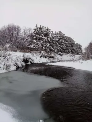 Первый день зимы: Лучшие открытки, картинки, фото - Афиша bigmir)net