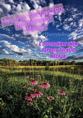 Доброе утро, мои прекрасные цветочные феечки! 🌸👸🏼💫 Поздравляю всех с первым  летним днем, хотя погодка весьма свеженькая!☀☘ но главное, что… | Цветы,  Брошь, Кожа