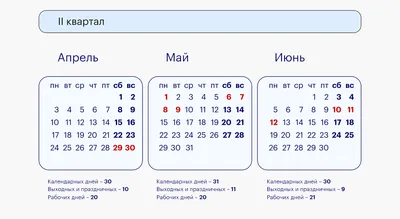 Выходные и праздники в декабре 2023: как официально отдыхаем в России