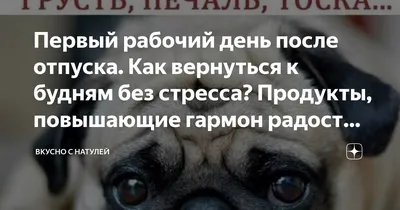 Дополнительный отпуск по ТК РФ 2024: кому положен, условия, образец  заявления, расчет