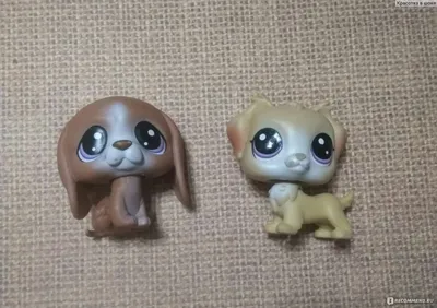 Игровой набор 'Летний лагерь зверюшек' (Pet Day Camp), Littlest Pet Shop  [A9478]