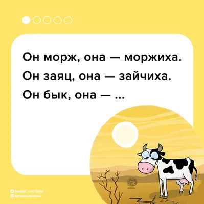 11 загадок с подвохом, благодаря которым вы не только заполните паузы в  общении, но и покажите себя эрудированным человеком с чувством юмора -  Рамблер/женский