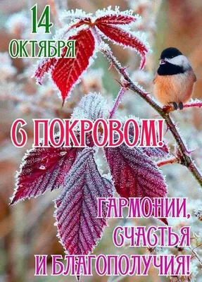 14 октября - Покров Пресвятой Богородицы | г. Алатырь Чувашской Республики