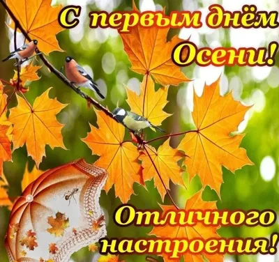 с последним днём #сентября#🍁🍁🍂🍂🍂#💐💐 | TikTok