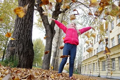 Последний теплый день осени. Приметы на 26 сентября и погода в  Магнитогорске - Лента новостей Магнитогорска