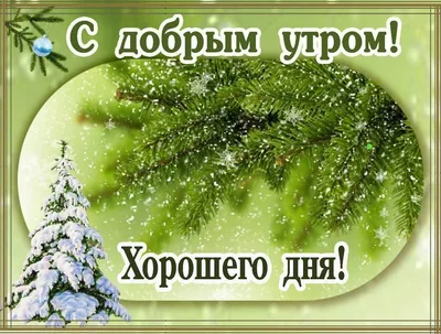 В Сибири даже на Крещение после 12 часов ночи в баню хода нет... |  Политически несерьёзно | Дзен