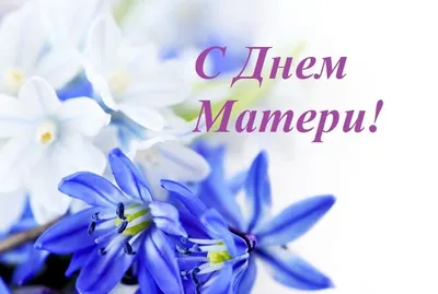 Поздравление Ректора БНТУ с Днем матери – Белорусский национальный  технический университет (БНТУ/BNTU)