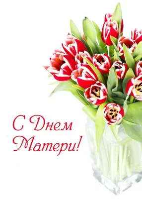 Дорогие женщины, мамы и бабушки! Сердечно поздравляем вас с замечательным  праздником — Днем матери! | Приазовская степь