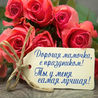 Поздравляем с Днем матери! – Больница 9