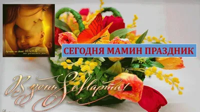Какой сегодня праздник в России и мире — 25 ноября - 24.11.2023, Sputnik  Южная Осетия