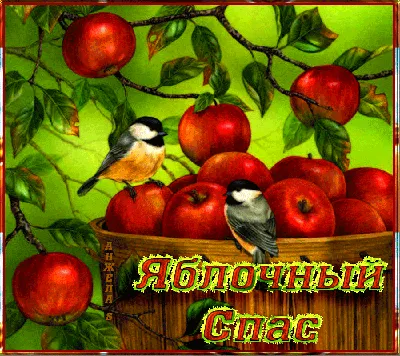 19 августа отмечается православный праздник Преображение Господне, или  Яблочный Спас