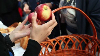 Яблочный Спас празднуют в Могилевском районе. Фото | MogilevNews | Новости  Могилева и Могилевской области