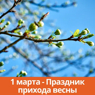 Сегодня, 8 марта - праздник женщин, праздник весны и оживления | 08.03.2023  | Красный Кут - БезФормата