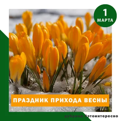 Праздник прихода весны – Ивановский детский дом «Ровесник»