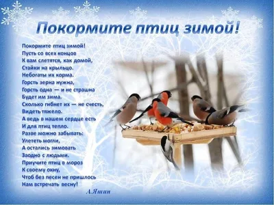 Фотография Покормите птиц зимой №17015 - «Мир глазами детей!» (11.12.2023 -  03:30)