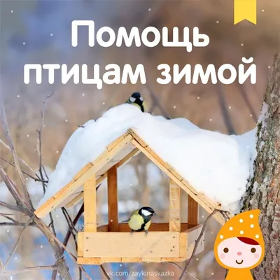 Рисунок Покормите птиц зимой! №224388 - «ЭКОЛОГИЯ и МЫ» (13.12.2023 - 04:30)