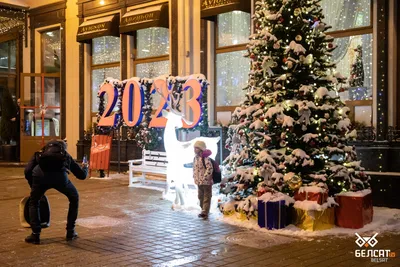 Вафельная картинка \"Новый год тигра. Новый год 2022. Год тигра. Рождество  -1\" (А4) купить в Украине