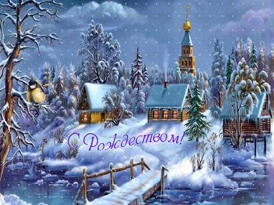 Поздравление с Рождеством Христовым (католическим Рождеством) | MogilevNews  | Новости Могилева и Могилевской области