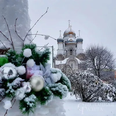 Православные празднуют Рождество Христово - Delfi RU