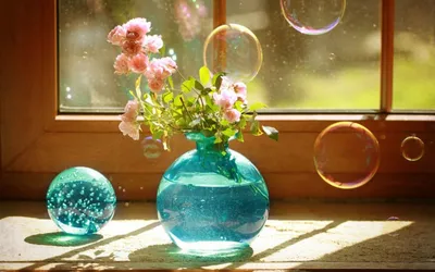 Шалости садовода: сортовые хризантемы, шарики краспедии и другие цветы по  цене 6752 ₽ - купить в RoseMarkt с доставкой по Санкт-Петербургу