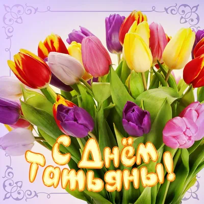 Всех Татьян поздравляем с Татьяниным днём! – Центральная Городская  Библиотека г. Невинномысск