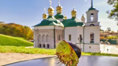 Поздравления с церковными праздниками - 61 фото