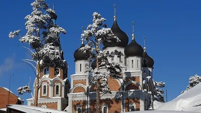 Календарь православных праздников: какой церковный праздник октябрь 2022