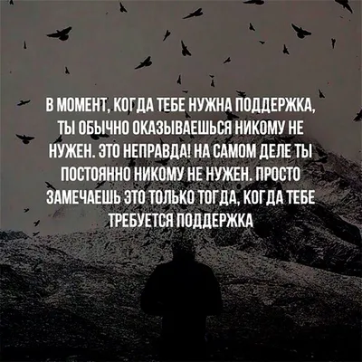 О дружбе красивыми словами: 20 цитат про дружбу, на которые стоит обратить  внимание - 7Дней.ру