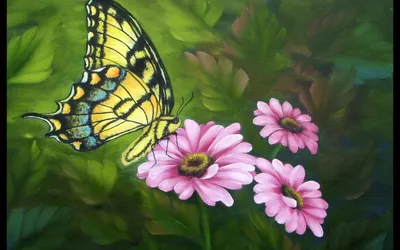 Рамка фотографии с бабочками и цветами. Иллюстрация вектора - иллюстрации  насчитывающей карточка, бабочка: 196991876