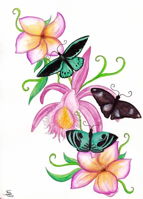 Фотообои Цветы и бабочки в фиолетовых тонах купить на стену • Эко Обои