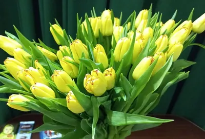 Какие цветы подарить жене, девушке, маме и бабушке на 8 Марта