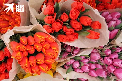 Торговцев призывают подавать заявки на уличную торговлю цветами 8 марта