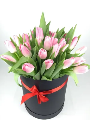 Цветы в коробке с буквами Поздравляю – купить с доставкой в Москве. Цена  ниже!