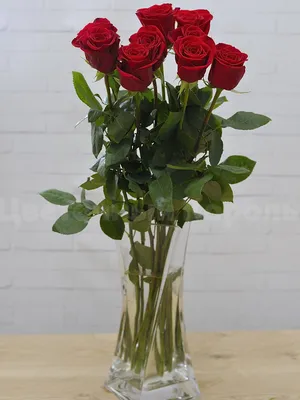 Букет 51 красная роза 50см в Санкт-Петербурге. Красные от официального  производителя с доставкой.
