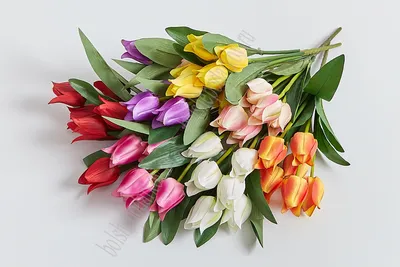 Букет красных тюльпанов 25 шт. в бумаге крафт | Flowers Valley