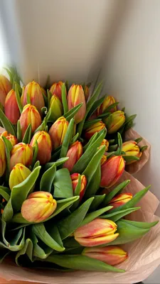 Тюльпаны | Tulips flowers, Beautiful bouquet of flowers, Boquette flowers