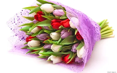 Купить Букет из 11 тюльпанов разных цветов | VIAFLOR