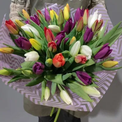 Фотографии красивый букет тюльпан Цветы