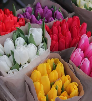 Букет цветов тюльпаны Премиум, 11шт - купить с доставкой в Самаре в  Перекрёстке