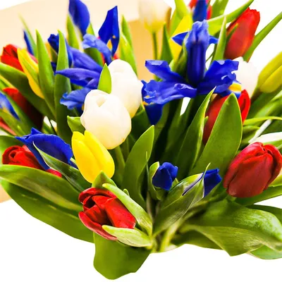 Купить Букет из 33 разноцветных тюльпанов в дизайнерской упаковке с  доставкой по Санкт-Петербургу. Цветы - Тюльпаны. Цена 5150.00 руб.