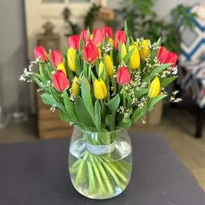Цветы тюльпаны - индивидуальные фотообои. Заказ фотообоев Цветы тюльпаны  (28563)