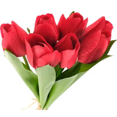 Разноцветные тюльпаны + ирисы + ваза, 25 цветов в коробке по цене 4325 ₽ -  купить в RoseMarkt с доставкой по Санкт-Петербургу