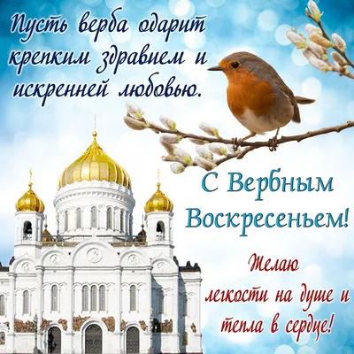 Вербное воскресенье 2020 Украина - поздравления в стихах, картинках и  открытках