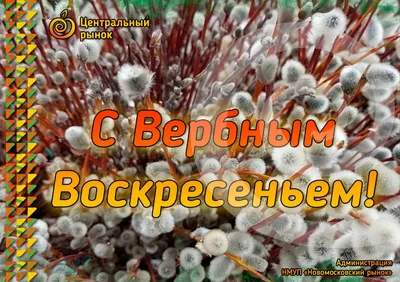 Вербное воскресенье 2022 - открытки и поздравления — УНИАН