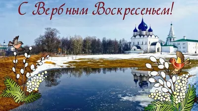 Александр Качанов: Поздравляю жителей города Докучаевска со светлым  праздником – Вербным Воскресеньем! - Лента новостей ДНР