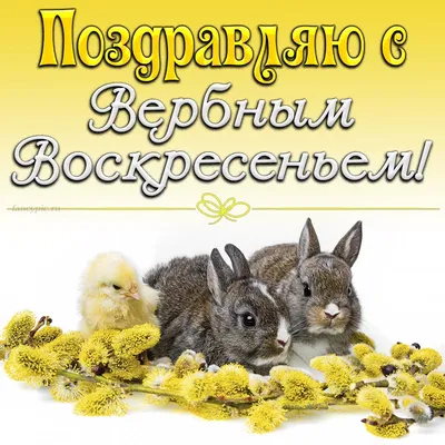 Новомосковский рынок поздравляет туляков с Вербным воскресеньем | ИА  “Тульская Пресса”