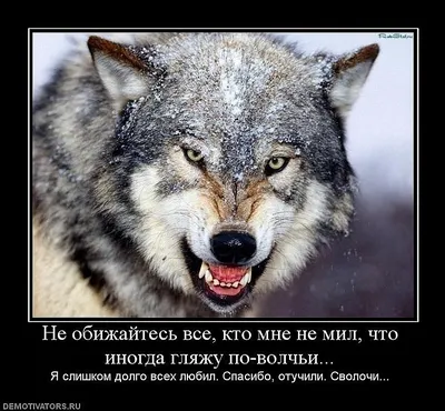 Смысл бояться и молчать? В этом смысла нет». Федор Горожанко — о том,  почему в суде он отказался давать показания против Навального